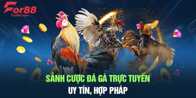 Khám Phá Đá Gà Thomo: Cược Đỉnh Cao Tại For88