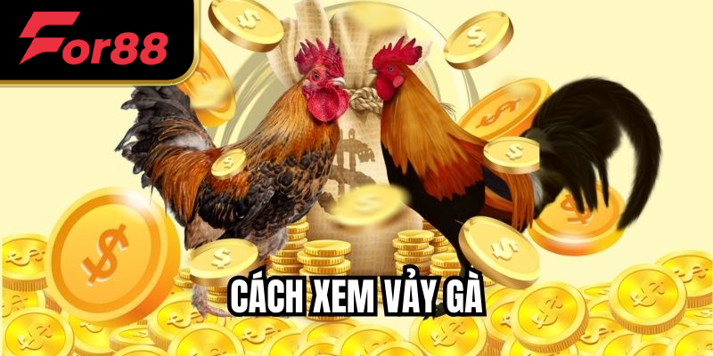 Cách Xem Vảy Gà - Chọn Gà Chiến Chuyên Nghiệp Hiệu Quả