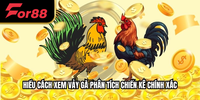 Hiểu cách xem vảy gà phân tích chiến kê chính xác