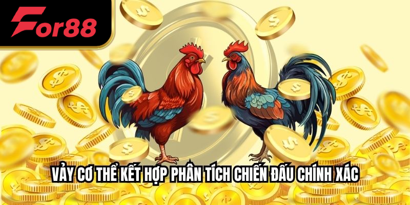 Vảy cơ thể kết hợp phân tích chiến đấu chính xác