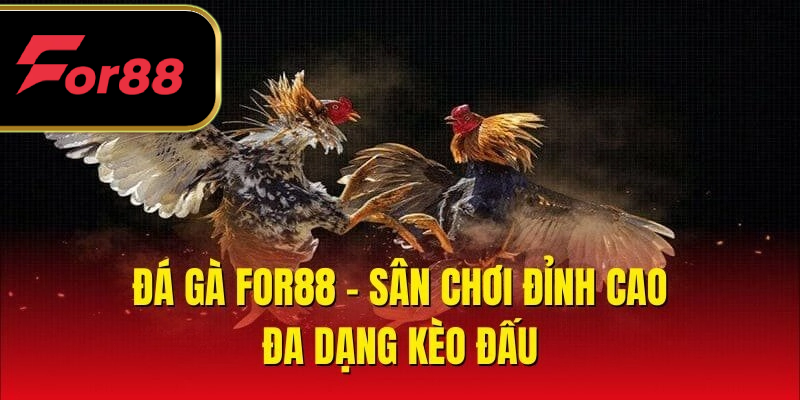 Đá gà - sân chơi đỉnh cao, đa dạng kèo đấu