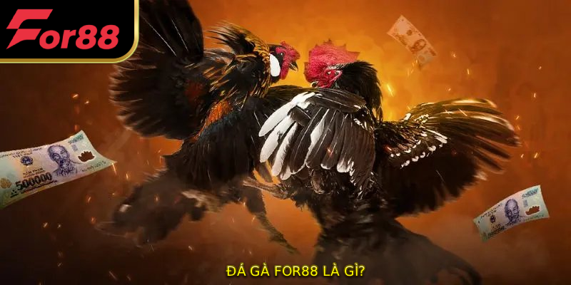 Đá gà FOR88 là gì?