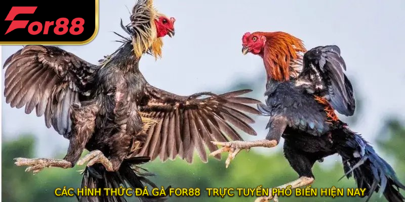 Các hình thức đá gà FOR88  trực tuyến phổ biến hiện nay